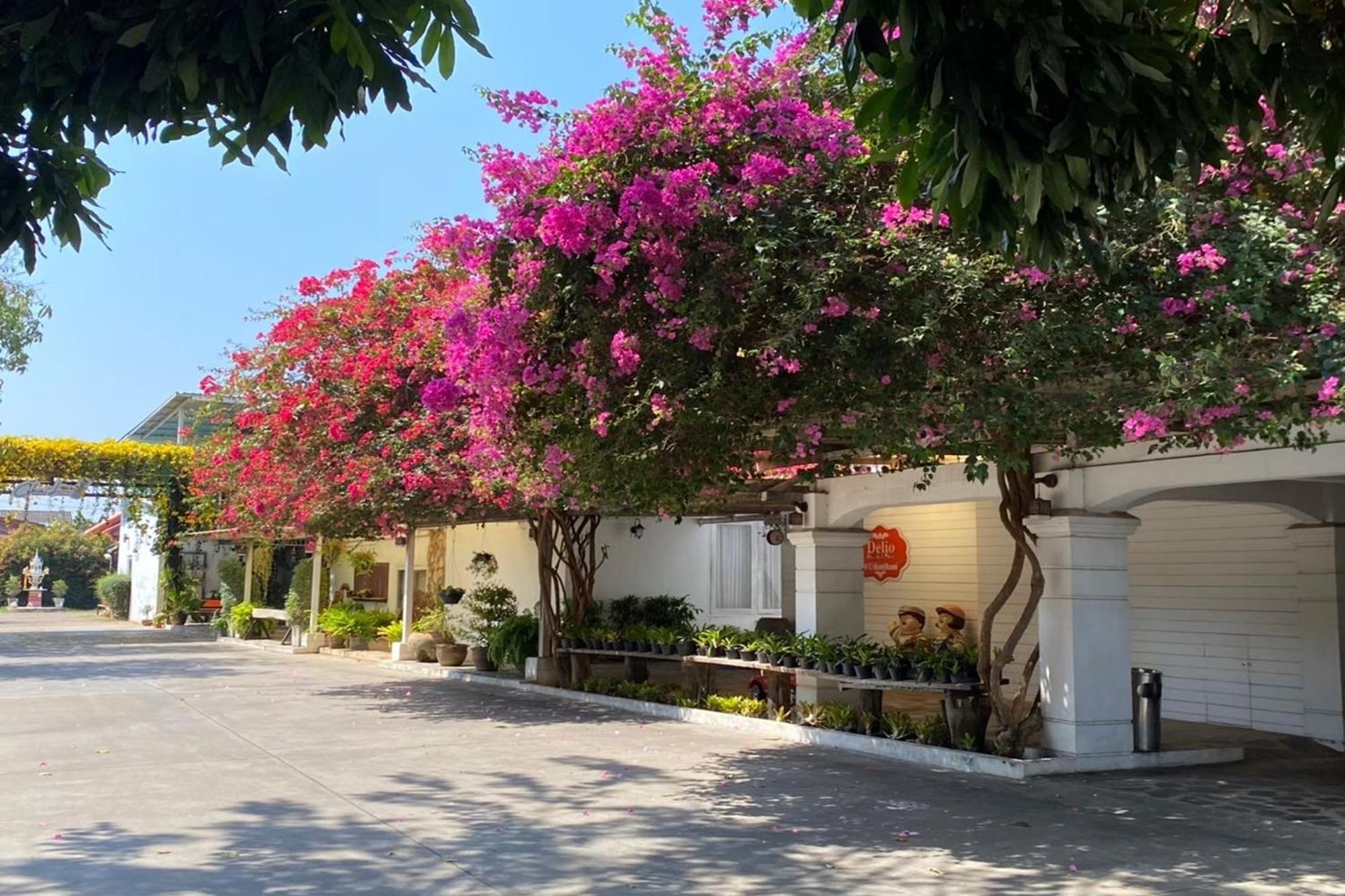 Delio Boutique Hotel Udon Thani Eksteriør billede